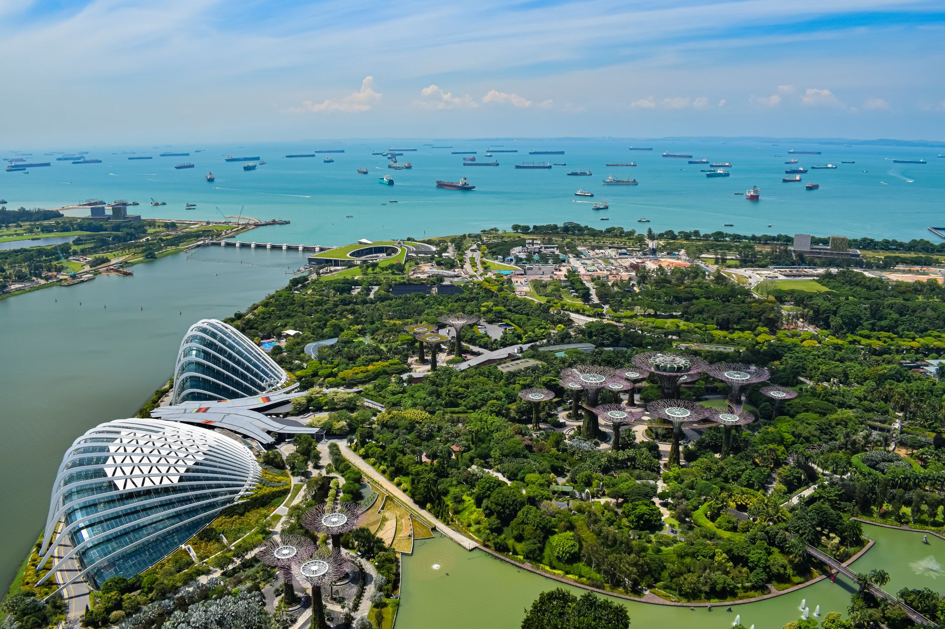 Gardens by the Bay and the harbour